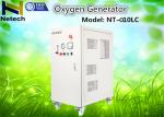 PSA Oxygen Generator Industrial Oxygen Machine Built - In Oil Free Air