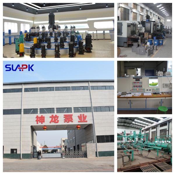 40m3/h Submersible Pump 120m Head Water Pump General Agricultural Irrigation