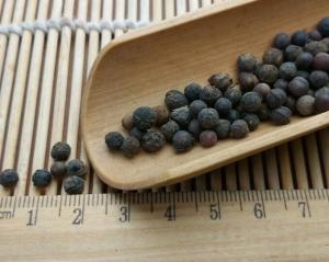 Quality Mountain Spicy Tree Fruit Litsea mollis Hemsl bi cheng qie wholesale