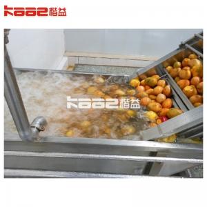 China 20T/H Mango Juice Production Line Mango Fruit Juice Processing Machine on sale