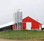 Steel Frame Prefab Poultry House with Automated Broiler Farming Equipment