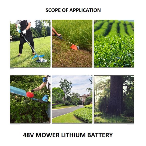 CLF 24V 48V 12AH 20ah OEM Electric Mower Small Lithium Iron Battery Packs Tea Picking Electric Tool Power Battery Pack