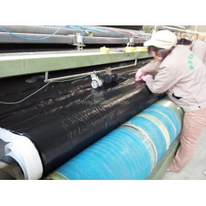 Hotel Swellable Bentofix Bentonite Waterstop Liner with HDPE Geomembrane