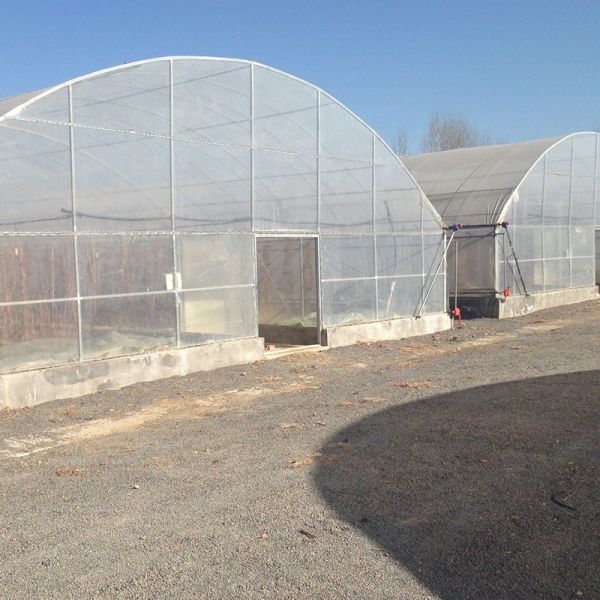 LiTai Greenhouse High Tunnel Greenhouse for Agricultural Plants Growing