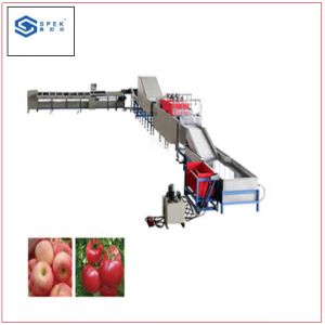 Quality Tomato/Avocado/Orange/Apple Weight Sorting Machine and Weight Grading Machine wholesale