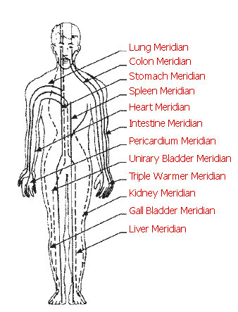 Chinese Meridian Health Diagnostic Machine for Acupuncture Stimulator