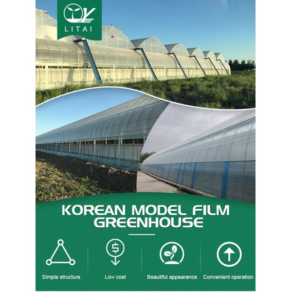 Water Heating System Korean Mode Film Agricultural Greenhouses for Year-Round Farming