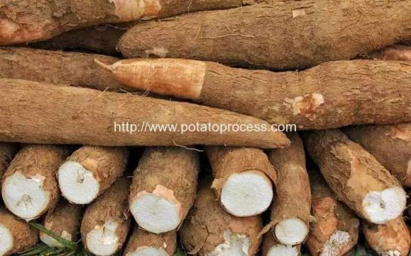 Cheap Automatic Cassava Flour Production Line for Sale for sale