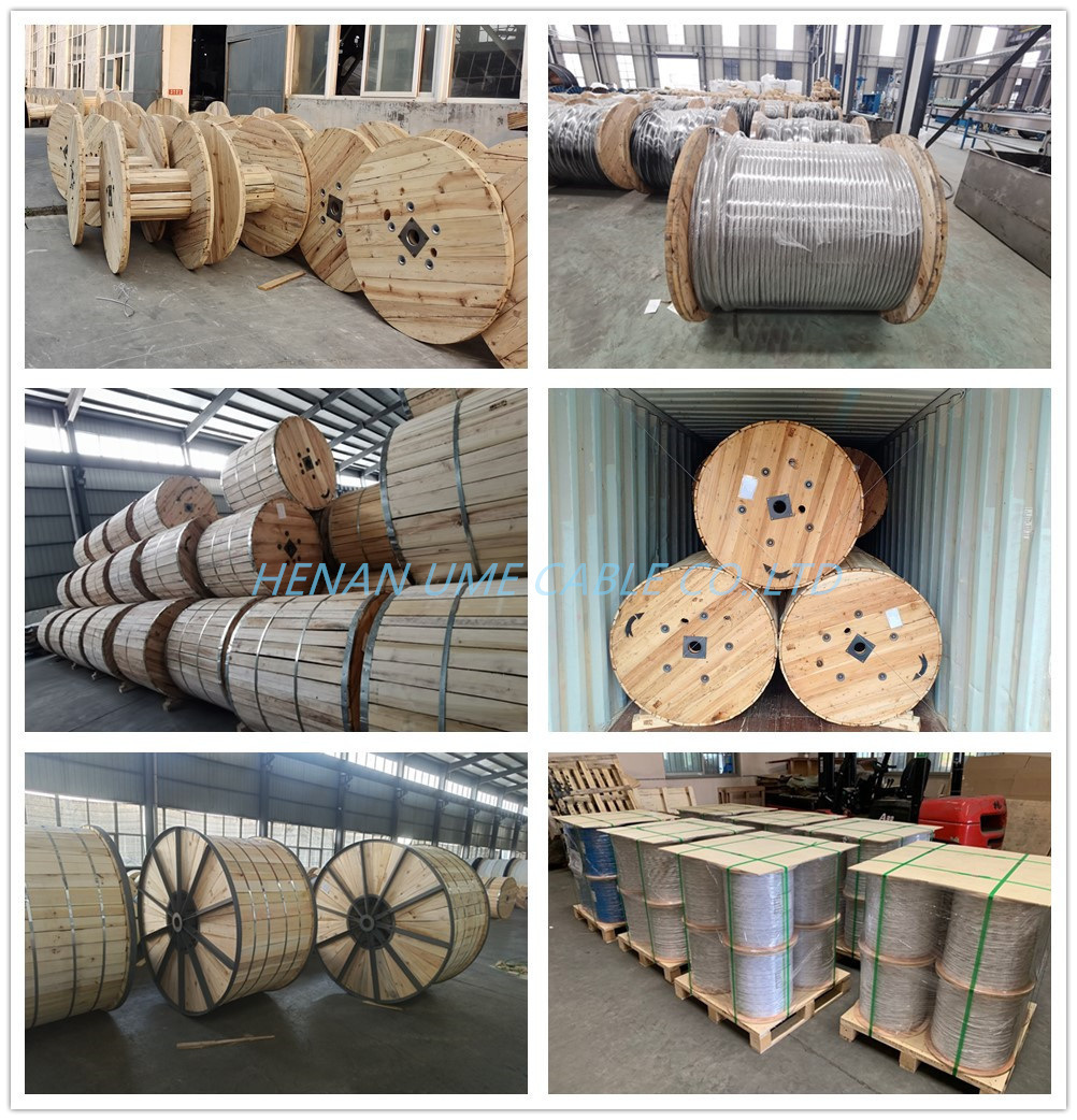 Overhead Transmission Line Aluminum Conductor Steel Reinforced Bare ACSR Conductor