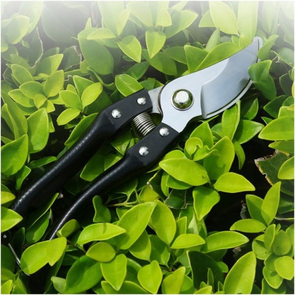 Black Handle Fruit Cutting Durable Professional Pruner Garden Scissors