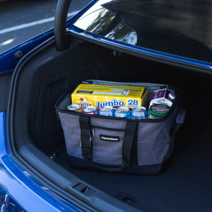 Reinforced Food Delivery Insulated Cooler Bag, Promotional Custom Recyclable Aluminum Foil Picnic Insulated Lunch