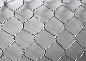 Galvanized PVC Hexagonal Wire Mesh , 0.7mm*13mm*13mm Power Coated Bird Netting