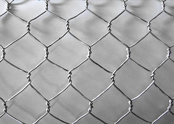 Cheap Galvanized PVC Hexagonal Wire Mesh , 0.7mm*13mm*13mm Power Coated Bird Netting for sale