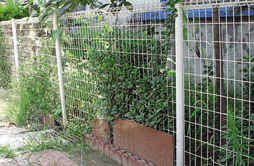 Professional Double Loop Welded Wire Fence/PVC Coated Double Circle Fence
