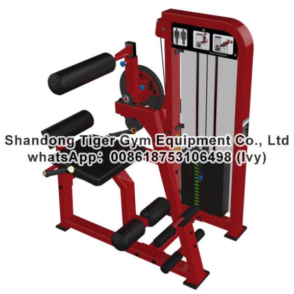 Single Station Gym fitness equipment machine Abdominal Crunch / Lower Back