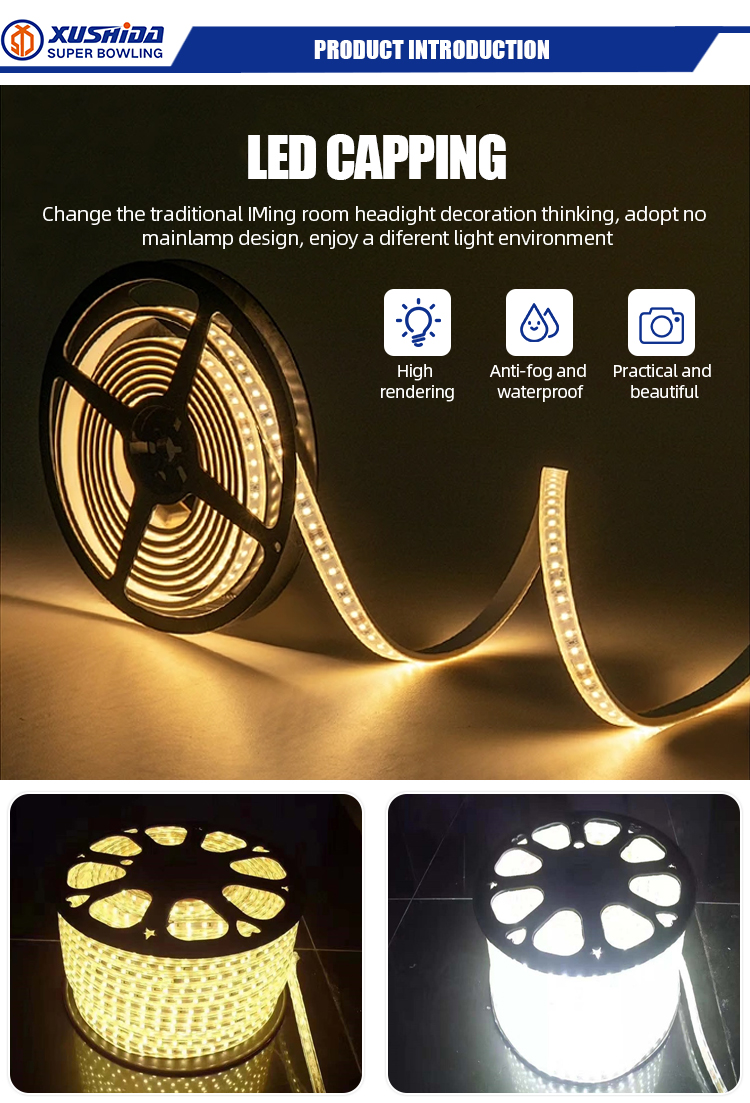 Snk Led Light Strip Smd 5050 Flex Decorating The Christmas Tree110V Etl Good for PVC