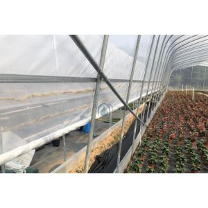 Hot-Dip Galvanized Agricultural Greenhouses and Farm Tunnel Greenhouse Plastic