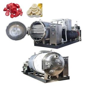 Quality SUS304 Lyophilized Industrial Food Vacuum Freeze Dryer Machine 100kg wholesale