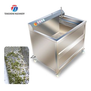 85KG Fruit and vegetable cleaning equipment Spinach washing machine small