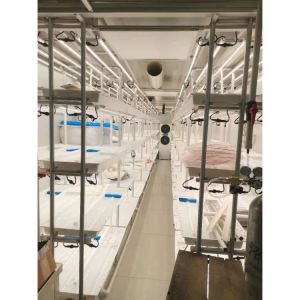 Hydroponic System Container Hydroponic Farm Plant Vertical Indoor Hydroponic