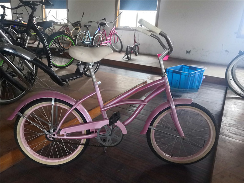 Aluminum Seat Post OEM Customize 20 Inch Kids Beach Cruiser Bikes Bicycle for Children