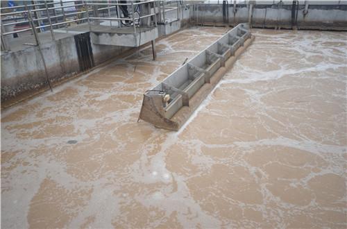 Cheap Sequence Batch Reactor Food Processing SBR Wastewater Treatment for sale