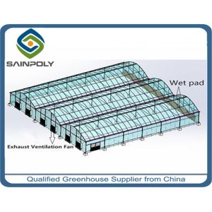 Quality Economical Gothic Arch Greenhouse , Commercial Greenhouse Structures Customized Design wholesale