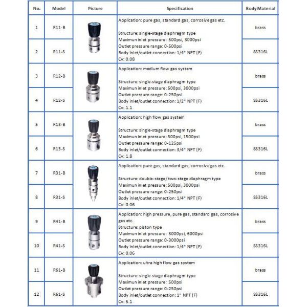 R1100 malaysia ss changeover nitrogen regulators, manual gas panel