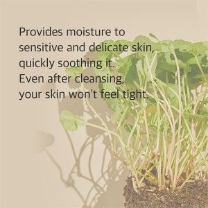 Private Label Centella Skincare Face Cleanser Deep Cleaning Exfoliating