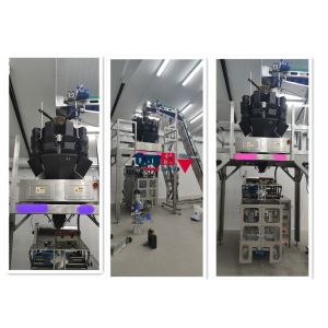 Quality Multihead Weigher Filling Packing Machine wholesale
