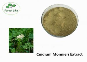 China Natural P.E. Cnidium Monnieri Extract Osthole 20% Powder for Male Health on sale