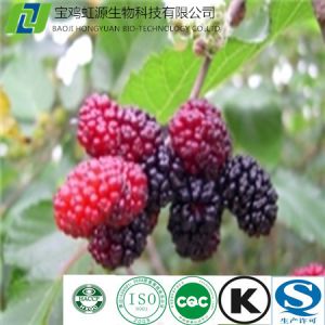 Quality Factory supply low price mulberry fruit extract 20% Anthocyanidin wholesale