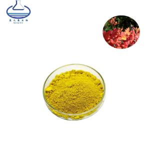 China Smoke Tree Extract Cotinus Coggygria Smoketree Extract Fisetin Powder on sale
