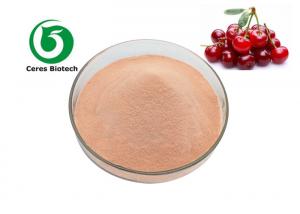 Quality Natural 10/1 80 Mesh Cherry Fruit Juice Powder Food Grade wholesale