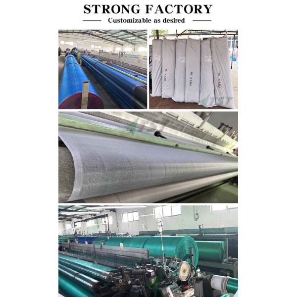 White Color HDPE Anti Insect Screen For Vegetable Garden Warp Knitted