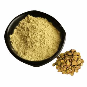 Quality Pure Nature Scutellaria Baicalensis Root Extract Baicalin Powder Scutellaria Baicalensis Extract 10:1 12:1 wholesale
