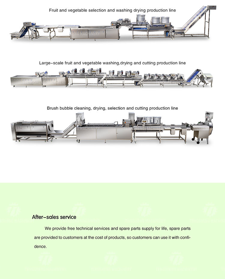 Multifunctional Fruit Washing Machine 3.8KW Vegetable Blanching Equipment