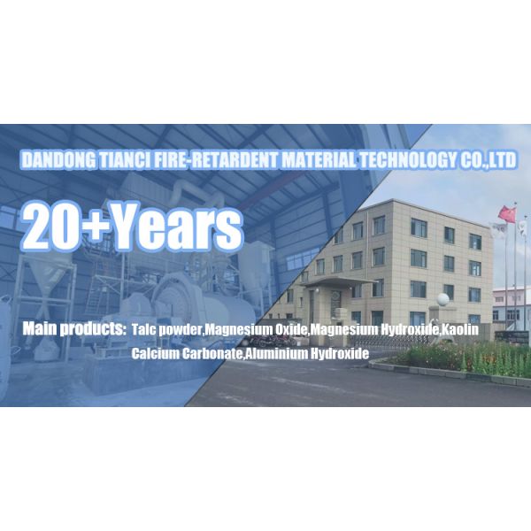 Wholesale Industrial Grade Refractory Matter Magnesium Hydroxide for Pvc Chemical Plastic Grade