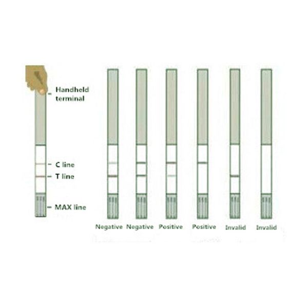 Nitrofuran SEM Food Safety Rapid Test Kit Strip For Tissue 96 Tests/Kit 0.5 Ppb