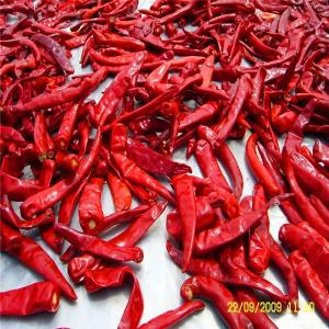 Quality Mild Heat Sweet Dried Paprika Pepper 1% Max Impurity 15Cm wholesale