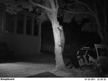 Waterproof IP54 8MP Trial Camera Wildlife Motion Camera KeepGuard 680NV