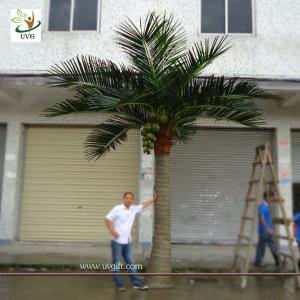 China UVG PTR002 20ft Artificial Palm Tree in big trunk for garden decoration and wedding favor on sale