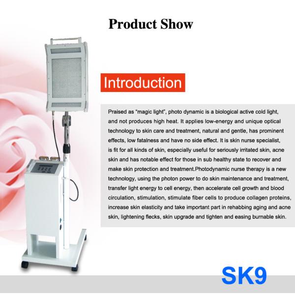 Pdt Led Light Therapy Skin Whitening Rejuvenation Skin Care Beauty Machine