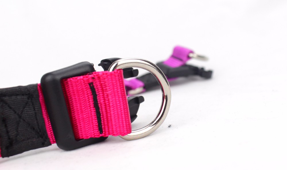 Customized Logo Fashion Style Dog Collar With Four Size Wear Resistance