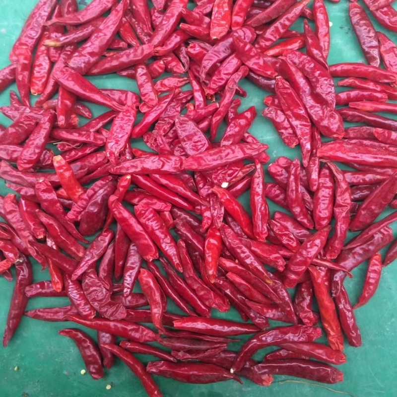 Quality Crispy Dried Chilli Granule Seeds 15000SHU Pungent Small wholesale