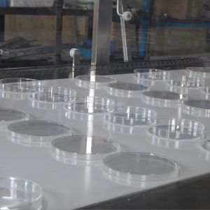 Automatic Petri Dish Filling Machine 4000BPH 440V Electric