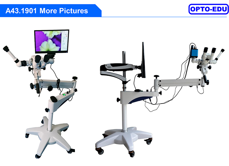 A43.1901 Digital Video Colposcope Universal Stand