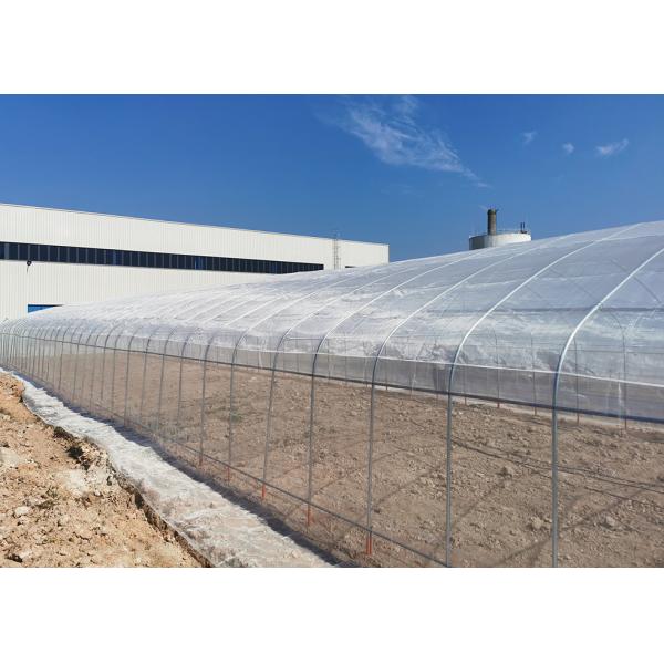 Small Scale Farming Single Span Greenhouse Customize Plastic Film Greenhouse