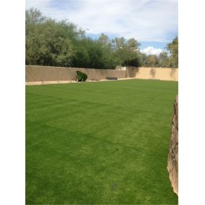 Quality PE Monofilament Residential Artificial Grass 50mm , CE Approved wholesale