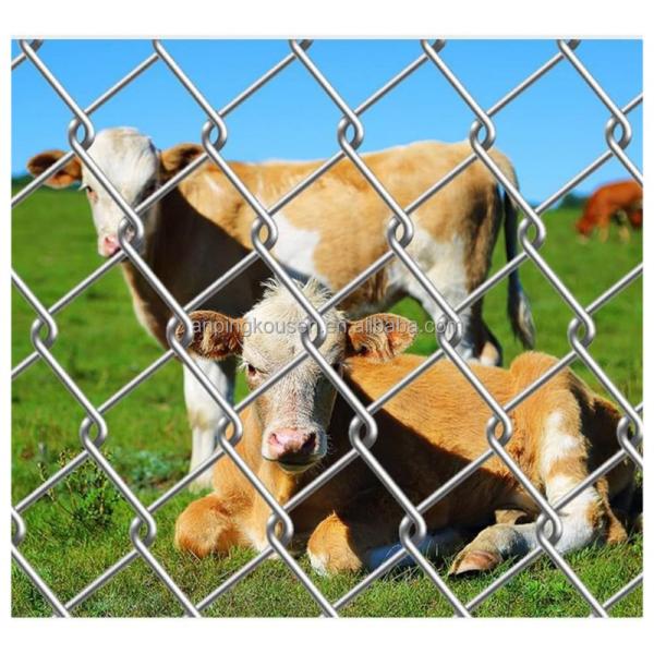 Hot Dipped Galvanized Fixed Knot Woven Game Wire Farm Fencing for Pasture Goat Cow Grassland